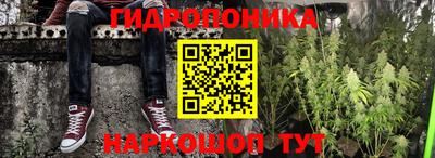 индика Гусь-Хрустальный