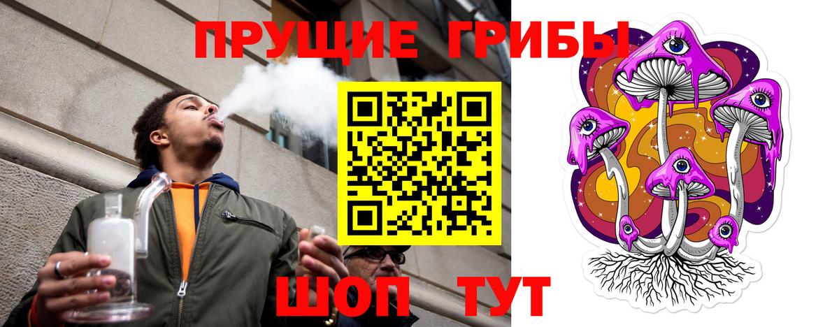 Галлюциногенные грибы мухоморы Минеральные Воды