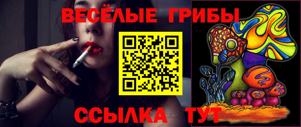 Минеральные Воды  Галлюциногенные грибы Psilocybe  Вход с VPN 